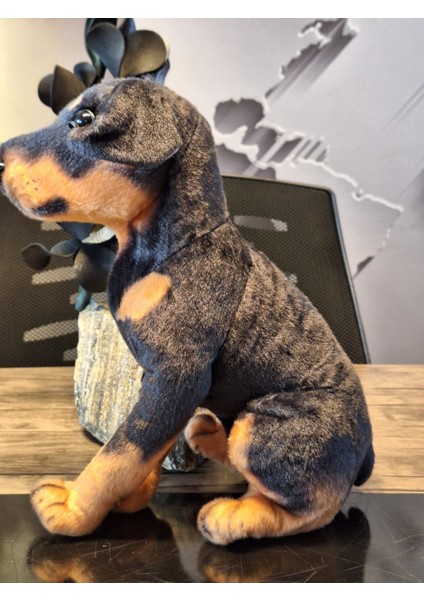 Sevimli Doberman Köpeği 35CM modelleri