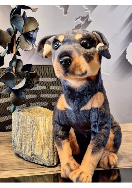 Sevimli Doberman Köpeği 35CM fırsatları