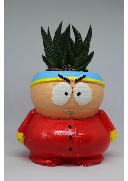 Cartman Dekoratif Saksı + Canlı Bitki Sukulent