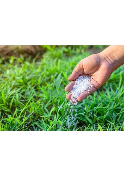 Gübre Eti Şeker Ağaç Çiçek Üst Çim Si 1 kg fırsatları