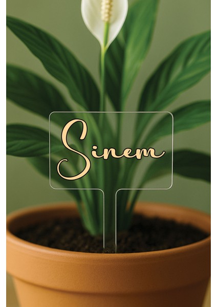 Kişiye Özel Isim Kelime Yazılı Uv Baskılı Şeffaf Dekoratif Pleksi Saksı Süsü - Dizayn 15