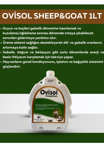 Royal Ovisol Sheep&goat Koyun ve Keçi Yem Katkısı 1 Lt