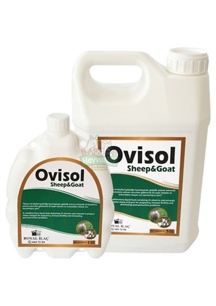 Royal Ovisol Sheep&goat Koyun ve Keçi Yem Katkısı 1 Lt fiyatları