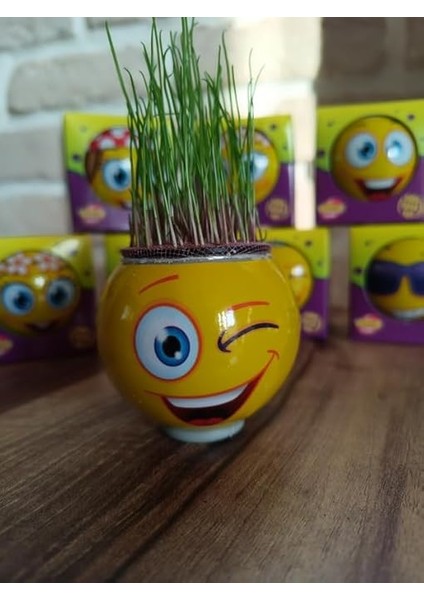 Çimoji 47'li Tek Tek Kutulu Hediyelik Eğitici Oyuncak Çimadam Çimoji fırsatları