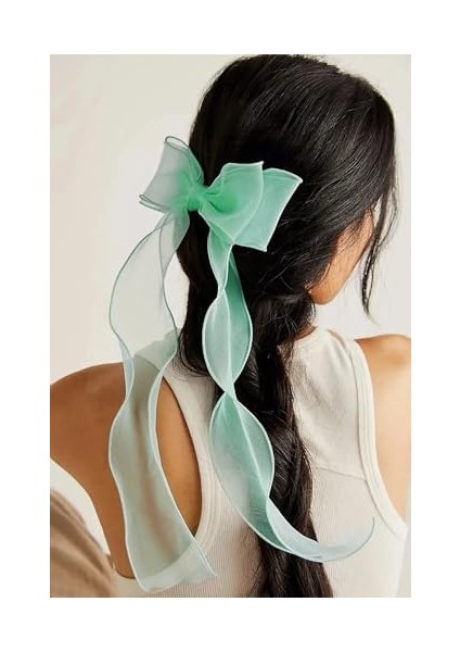 Mint Organize Uzun Kuyruklu Fiyonk Detaylı Otomatik Toka fiyatları