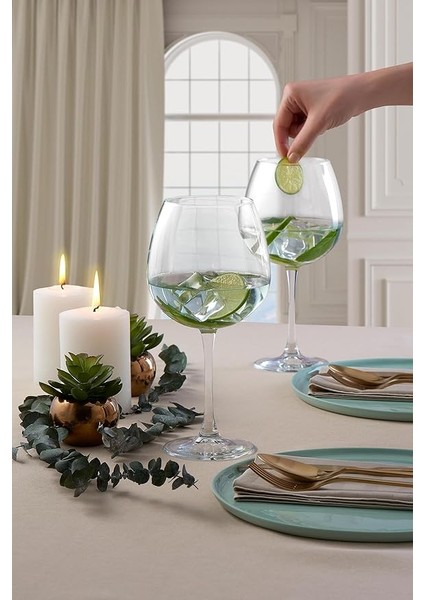 Enoteca Şarap Kadehı 780 cc 2'li Hediyelik Kutu modelleri