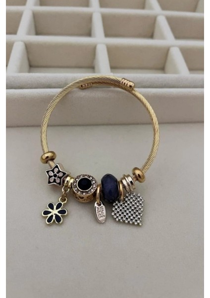 Çelik Kalp Zirkon Taşlı Siyah Charmlı Bileklik Pndr-Blk-Klp-S modelleri