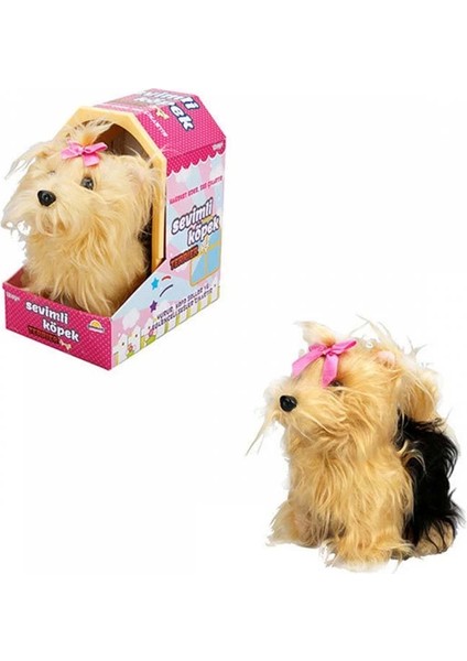 Bfs Sunman Sevimli Köpek Terrier modelleri