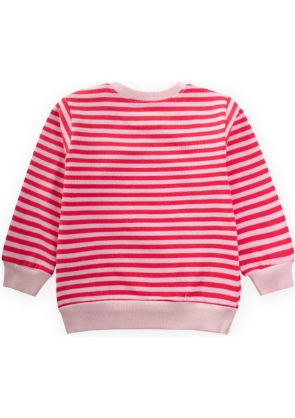 Çizgili Triko Sweatshirt 0-4 Yaş Pudra Mercan fiyatları