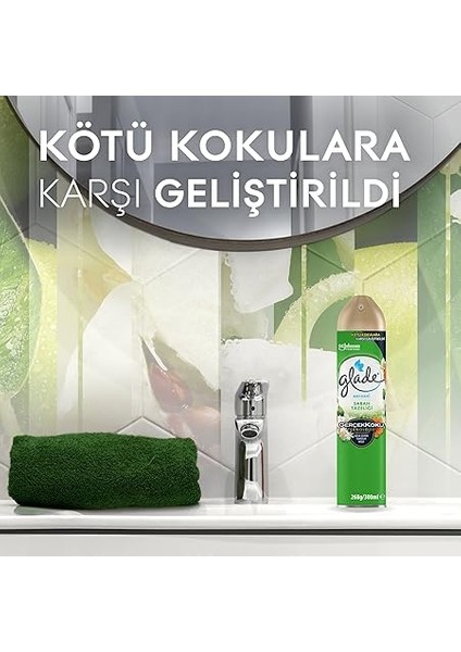 Aerosol Sabah Tazeliği Oda Kokusu 300 ml (1 x 300 Ml) modelleri