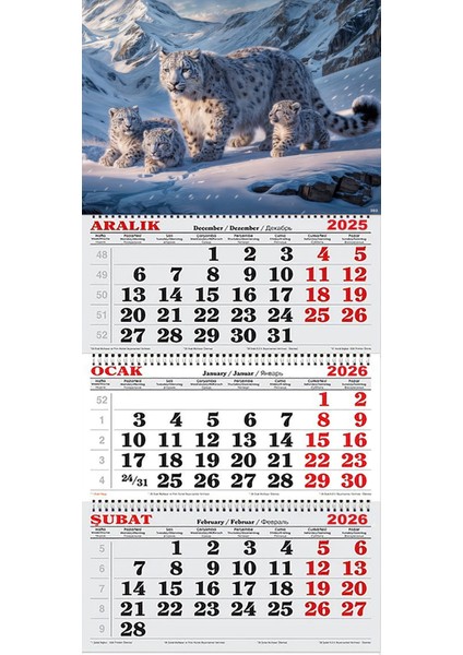 2026 Yılı Gemici Takvimi- Kar Leoparı ve Yavruları