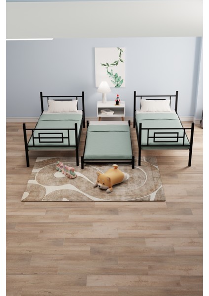 Defne Yavrulu Genç Çocuk Yatak Odası Metal Ranza ve Karyola Siyah fırsatları