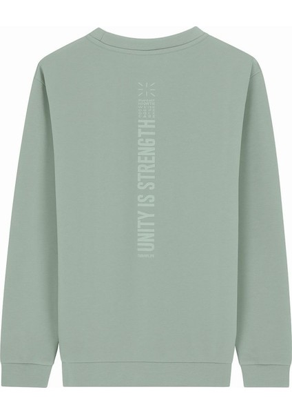 Erkek S-Shirt O Yaka Mint Yeşili Erkek Sweatshirt fiyatları
