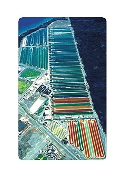 Bioastin/astin Hawaiian Astaxanthin - 4mg Astaksantin - Net:60 Bitkisel Kapsül (Cam Kavanoz) Hawaii'den Doğal Vegan Antioksidan TETT:16.11.2026 modelleri