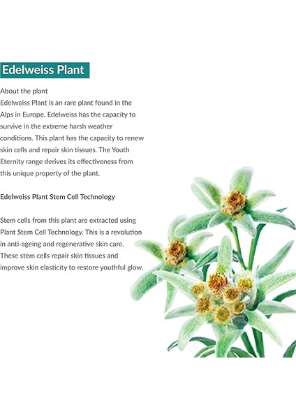 Since 1930 Youth Eternity Yaşlanma Karşıtı Gündüz Kremi 50 Ml, Nemlendirici, Dolgunlaştıcı, Spf 15, Yağsız indirimleri