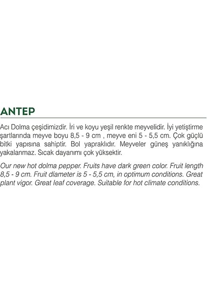 Tarım Ata Tohumu Yöresel Dolma Biber Antep 100 Adet Tohum fiyatları