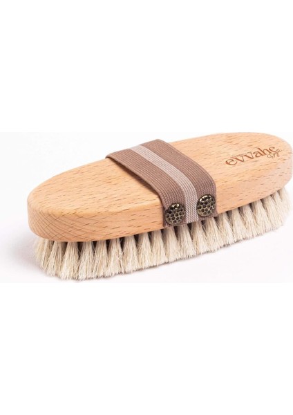 Evvahe Doğal At, Kılı, Selilüt, Fırçası