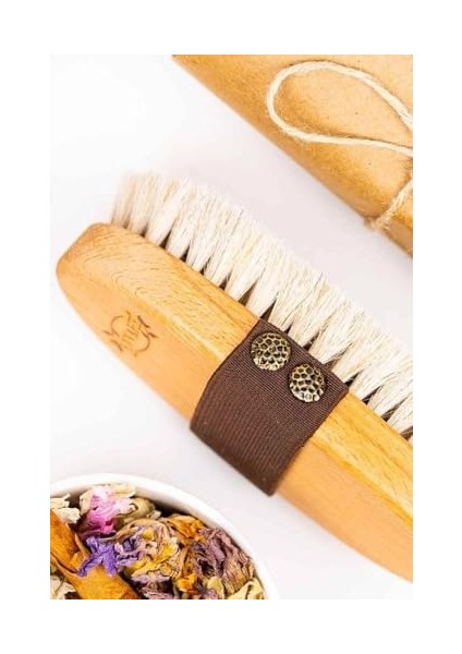 Evvahe Doğal At, Kılı, Selilüt, Fırçası modelleri