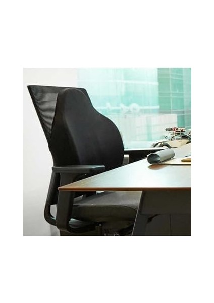 Escrito Luanda Sırt Desteği, Visco modelleri