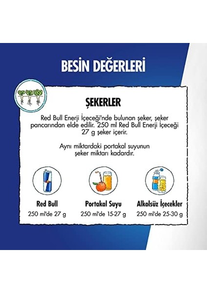Red Bull Enerji Içeceği Hindistan Cevizi ve Açai 250 ml (24'lü Paket 24X250 Ml) modelleri