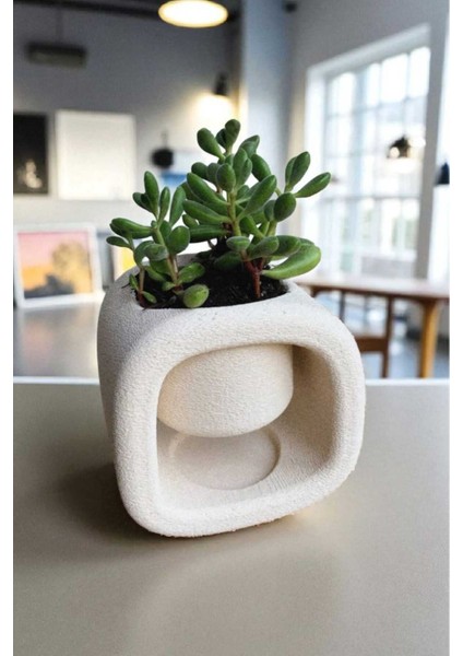 Modern Dekoratif Saksı Vazo, Sukulent, Kaktüs ve Bitkiler Için Saksı 3D 10X9X7 Çiçek Dahil Degildir! fiyatları