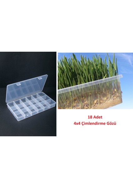 Tohum Çimlendirme Kutusu 18 Gözlü Mini Sera