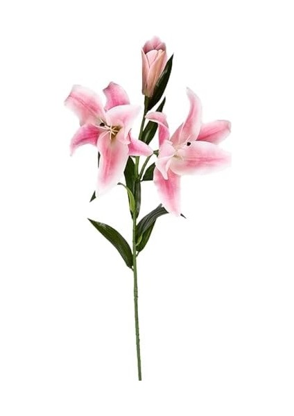 Yapay Çiçek Zambak Pembe-Beyaz 85 Cm. fiyatları