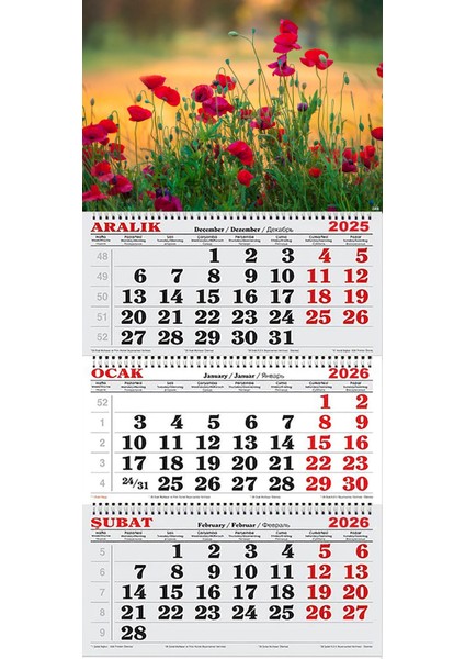 2026 Yılı Gemici Takvimi- Gelincik Çiçekleri