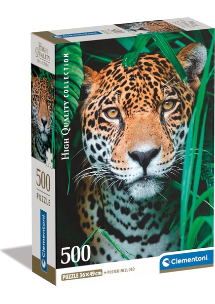 500 El. Compact Jaguar In The Jungle