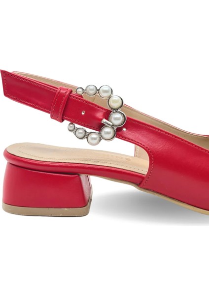 Carmira Inci Tokalı Kısa Topuklu Kadın Ayakkabı Büyük Numara