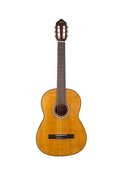 VC404 Klasik Gitar (Kılıf Hediyeli) fiyatları