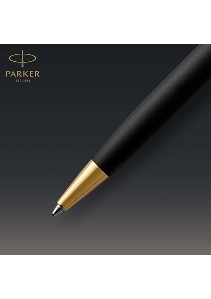 Mat Siyah Tasarımlı Tükenmez, Mavi Mürekkep, Orta Kalınlıkta Uç fiyatları