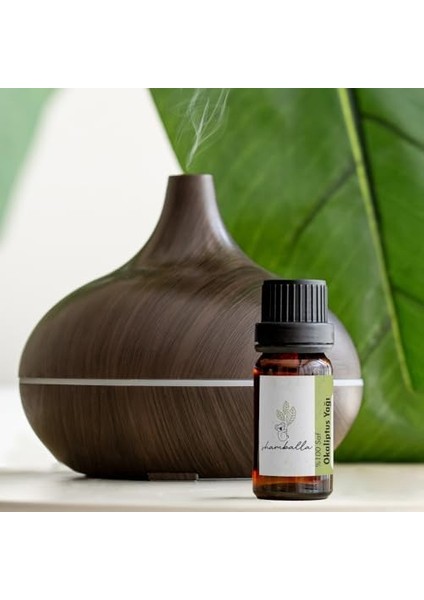Shamballa Okaliptus YAĞI%100 Saf Uçucu Yağ