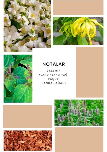 Ixora K093 Charm Edp Kadın Parfüm Yeni Şişe 50 ml fiyatları