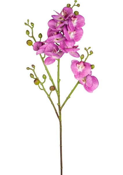 Yapay Orkide Gerçek Dokulu Mor 80 Cm.