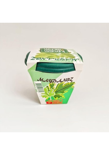 Bahçeci - Kendim Diktim Mini Saksıda Fidelik Dikim Seti - Maydanoz fiyatları