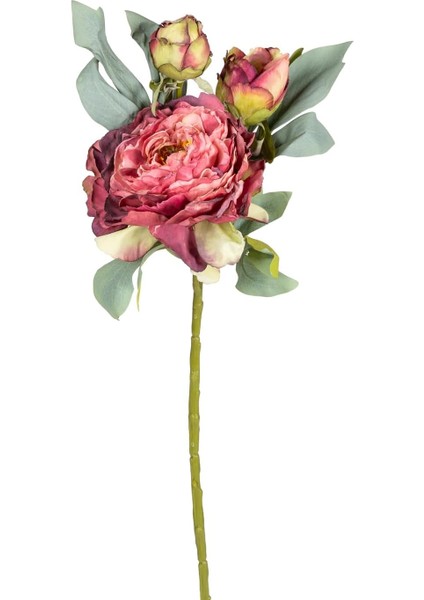 Yapay Çiçek Şakayık Gül Kurusu 62 Cm.