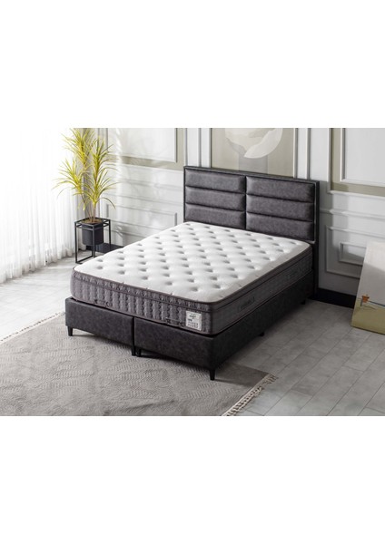 Diana Baza Antrasit 100X200 fiyatları