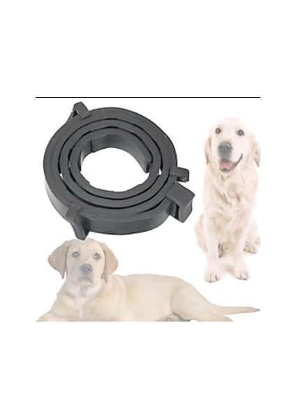 Köpek Pire ve Bit Kovucu Engelleyeci Tasma Boyunluk 62 cm