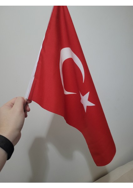 Miting Türk Bayrağı Raşel Kumaş Pigment Baskı 50X75 cm 50 Adet - Tören ve Dış Kullanıma Uygun fiyatları