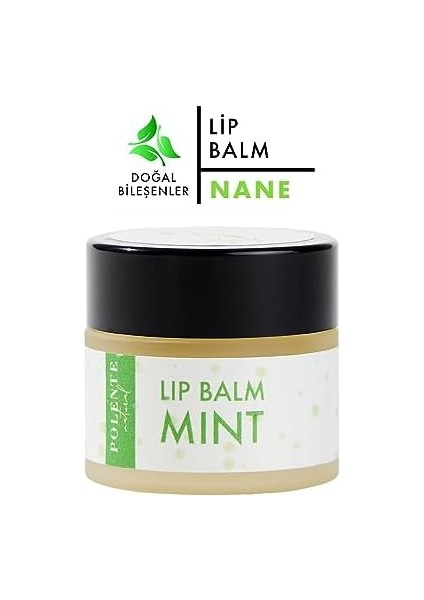 Polente Natural - Naneli Lip Balm - Nemlendirici Dudak Kremi (10 Ml) fiyatları