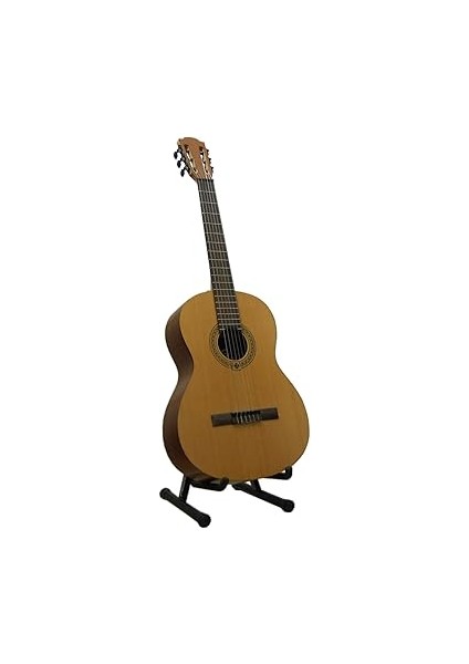 Carries Value... PRS01 Gitar Standı Sehpası (Siyah) fırsatları