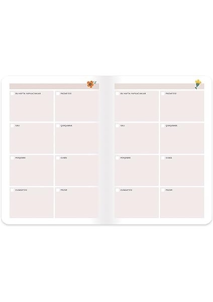 Color 17X24 Haftalık Ayça Karaman Tarihsiz Gelişim Ajandası fırsatları