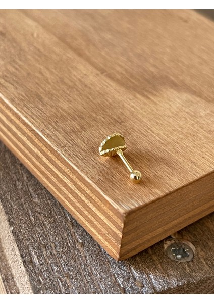 925 Ayar Gümüş Deniz Kabuğu Mineli Kıkırdak Helix Tragus Piercingi Gümüş Piercing fiyatları