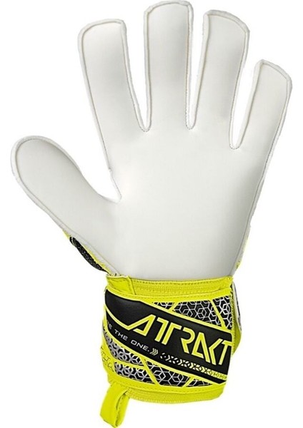 Reusch Attrakt Solid Kaleci Eldiveni (Kemiksiz) 5570515-2014 9.5 fırsatları