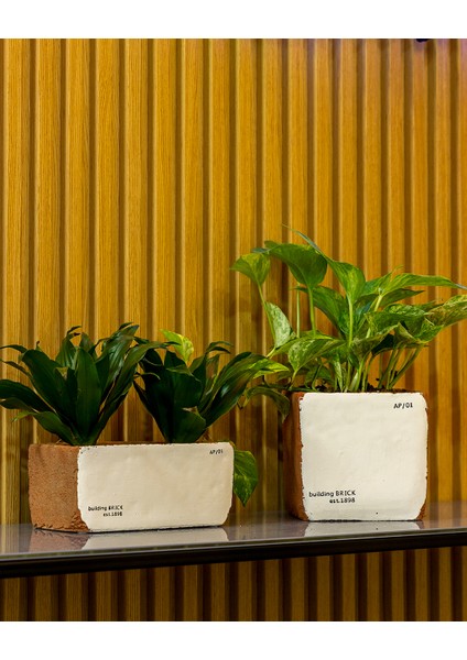 Sirona Saksı 3'lü Set