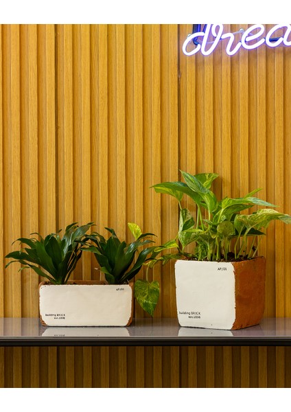 Sirona Saksı 3'lü Set fiyatları