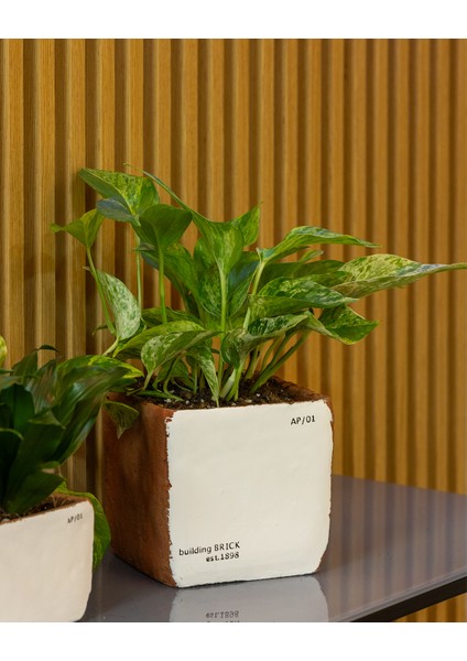 Sirona Saksı 3'lü Set modelleri