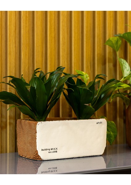 Sirona Saksı 3'lü Set fırsatları