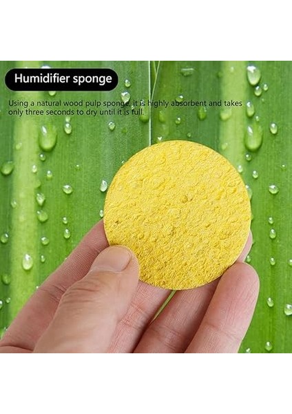 Gitar Nemlendirici, Akustik Gitar, Delikleri, Nemlendirici Paketleri, Gitar Nemlendirici, Nemlendirici Aleti modelleri